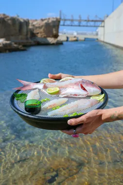 A plate of fresh fish with lime held out over the clear water of Batroun Mina at Oyster's Seafood Bar