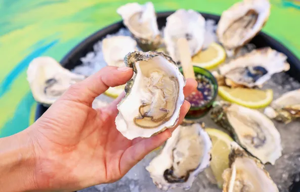 An opened oyster held above a platter of oysters on ice at Oyster's Seafood Bar, Batroun Mina