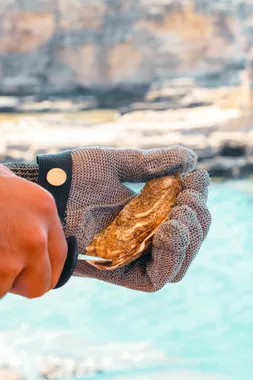 An oyster being opened with a knife and a chainmail glove at Oyster's Seafood Bar, Batroun Mina, turquoise water behind