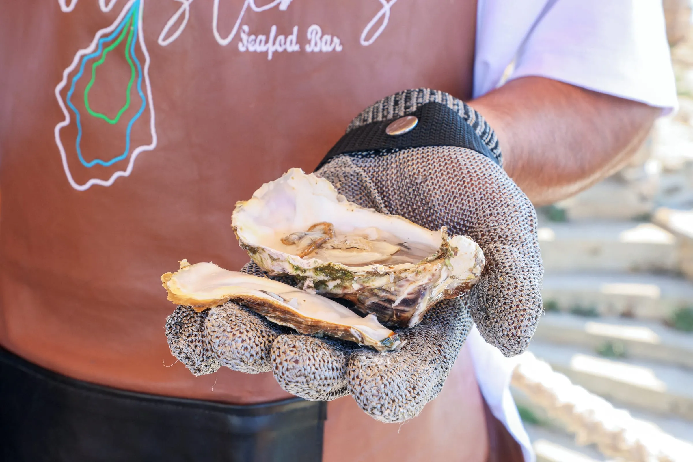 Freshly opened oysters held in a chainmail glove at Oyster's Seafood Bar, Batroun Mina