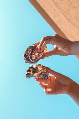 Two hands holding open oysters up against a clear blue sky at Oyster's Seafood Bar, Batroun